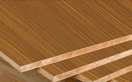 专注环保，全方位守护家居健康